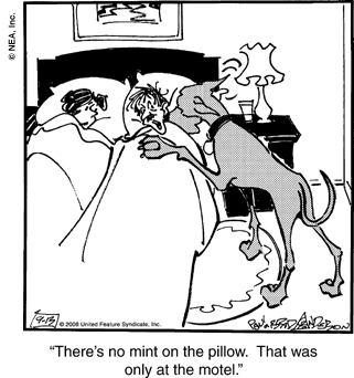 marmaduke